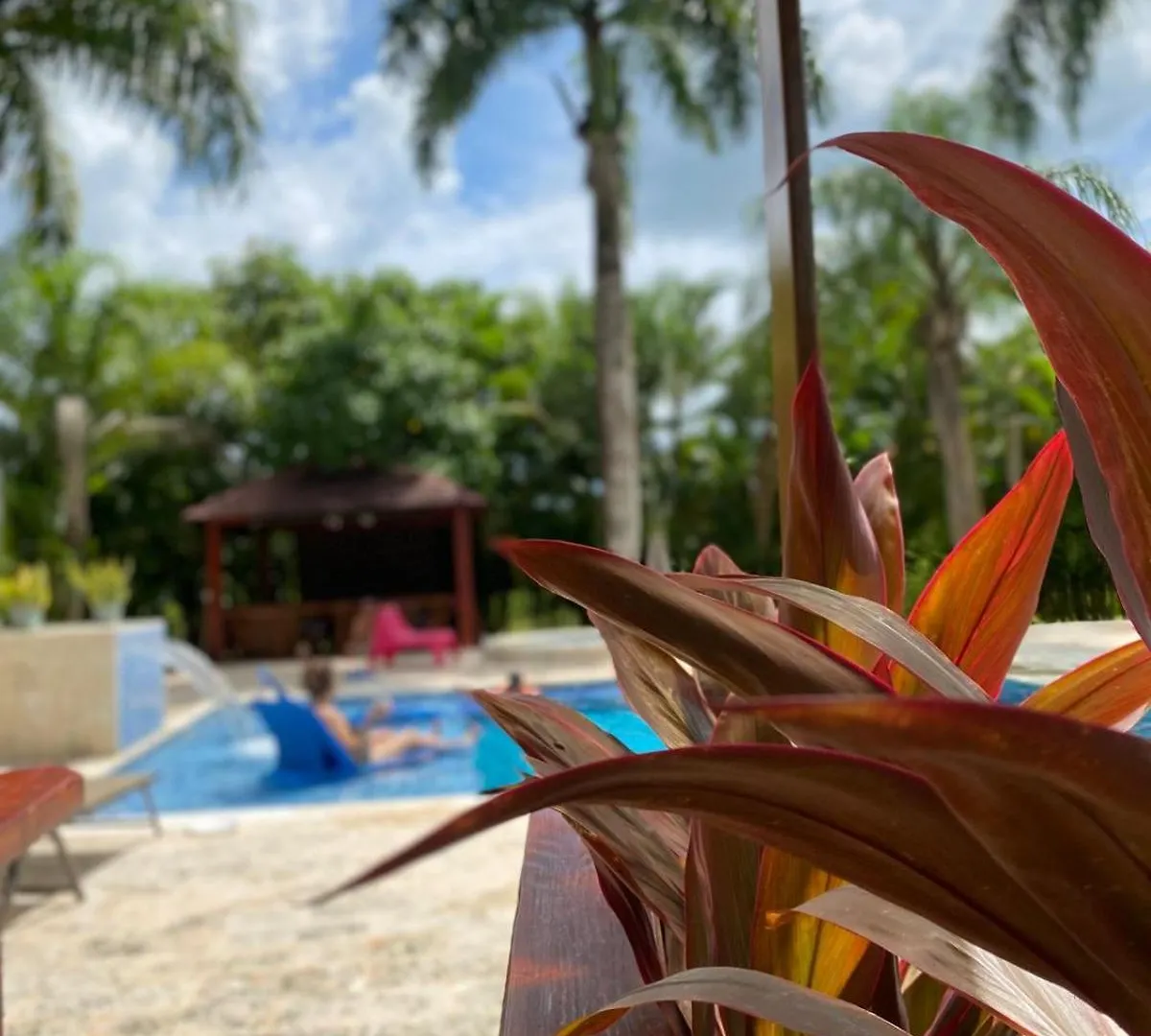 Villa El Cocotero La Joya